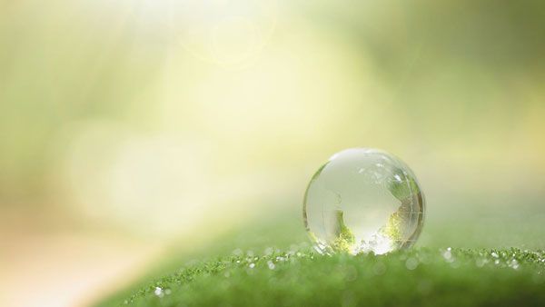 Respect de l’environnement